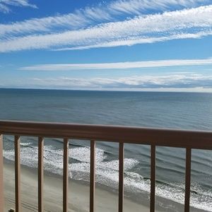 Meet your Posher, Lashannon